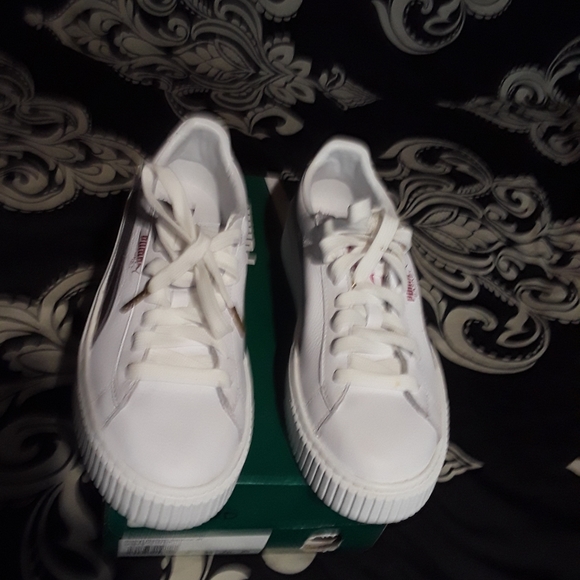 Puma platform - Picture 2 of 5